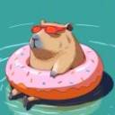 一只巴拉的卡皮